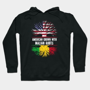 American Grown with Malian Roots USA Flag Hoodie